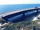 獅子ヶ鼻大橋 損傷状況 全景1