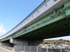 秋津高架橋（和歌山県）