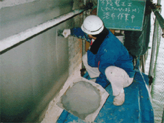 セルタルペーストM